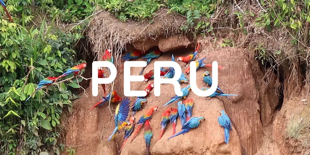 Peru category banner