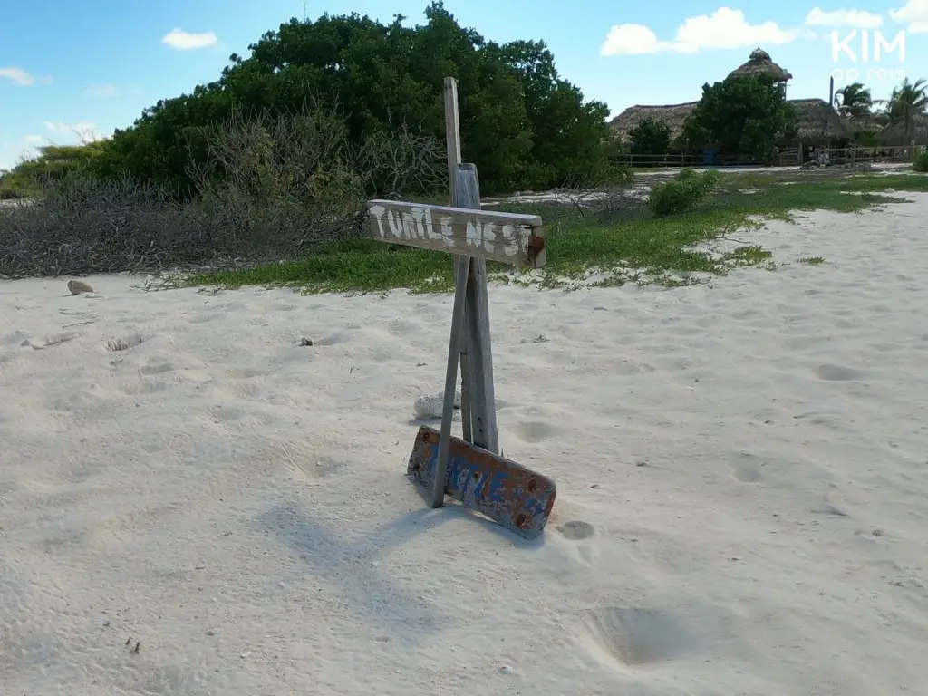turtle nest Klein Curaçao: on a beach, there's a hand-painted sign which reads 'turtle nest.'