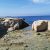 Punta de Sa Pedrera - inham in de rotsformatie aan zee